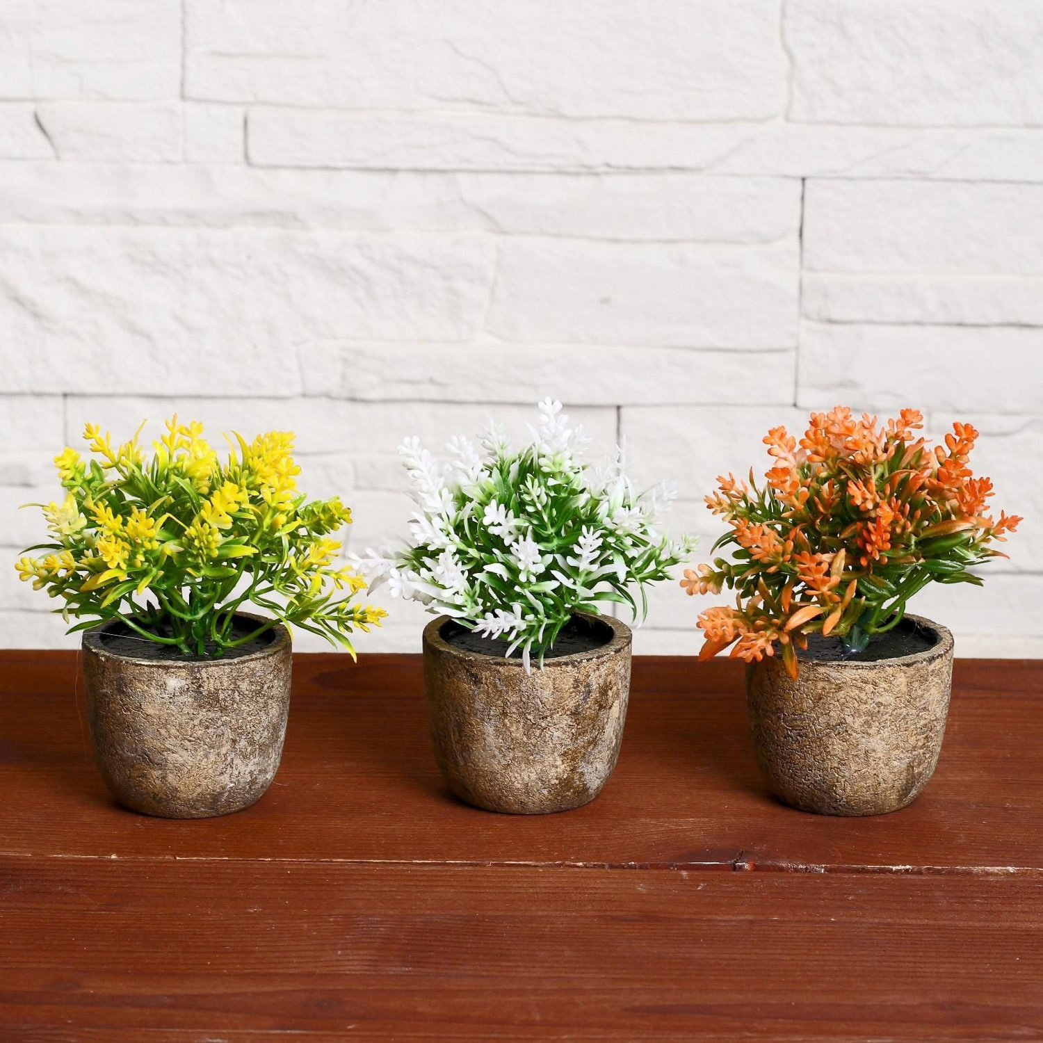 Бонсай "Седум" 6*10 см, микс   4293933