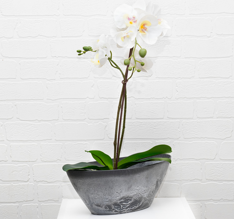 Кашпо пластм. "Микрит" 3.4л овал. 355х170 h130мм Серый слайн М3109 ("М-П.")*1/10 Кашпо пластм. "Микрит" 3.4л овал. 355х170 h130мм Серый слайн М3109 ("М-П.")*1/10