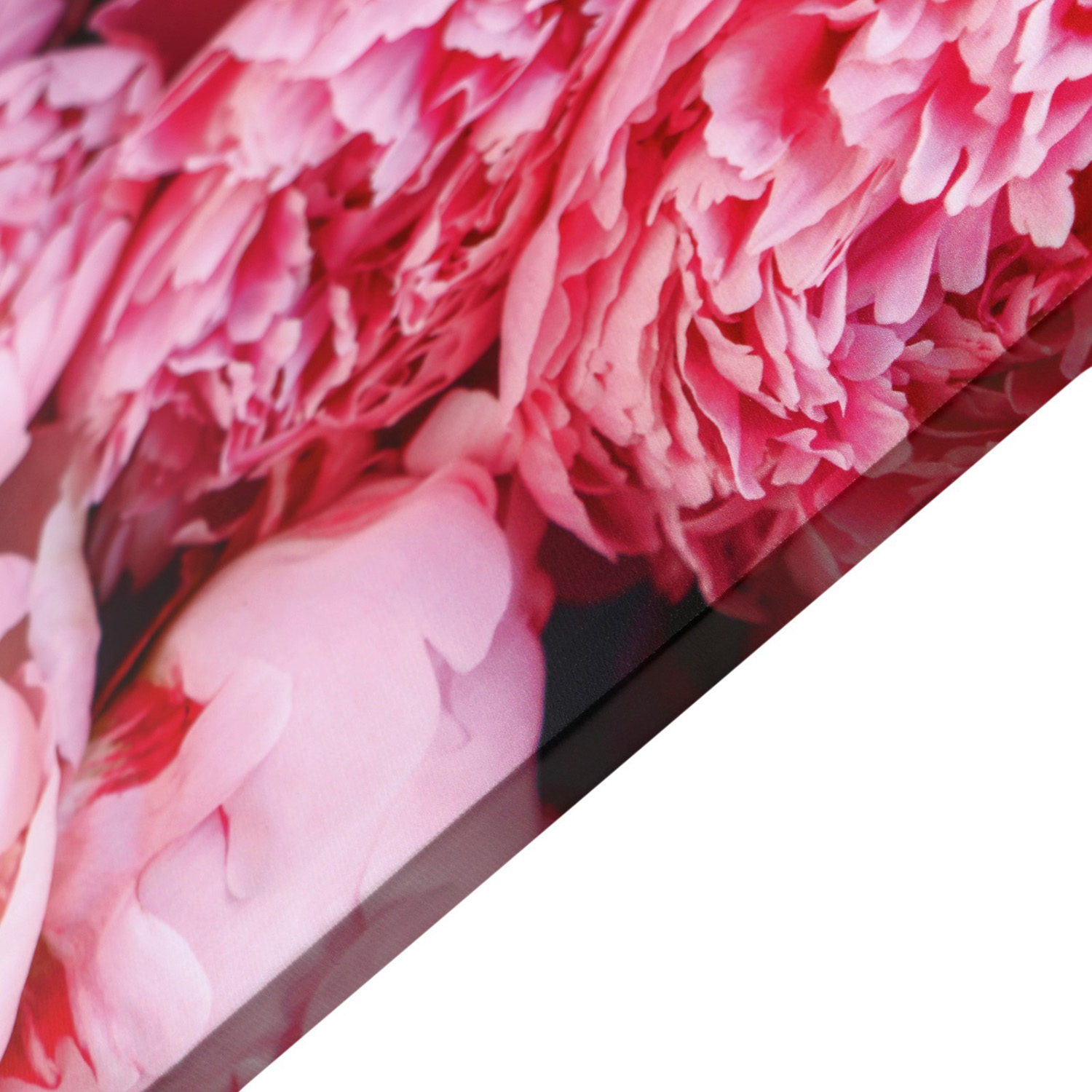 Картина "Пионы" 60*100 см 10236843