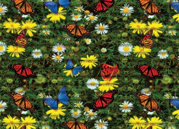 Коврик для ванной ПВХ шир. 65см х15м "V-line" Фотопечать FV3 Летний луг *15