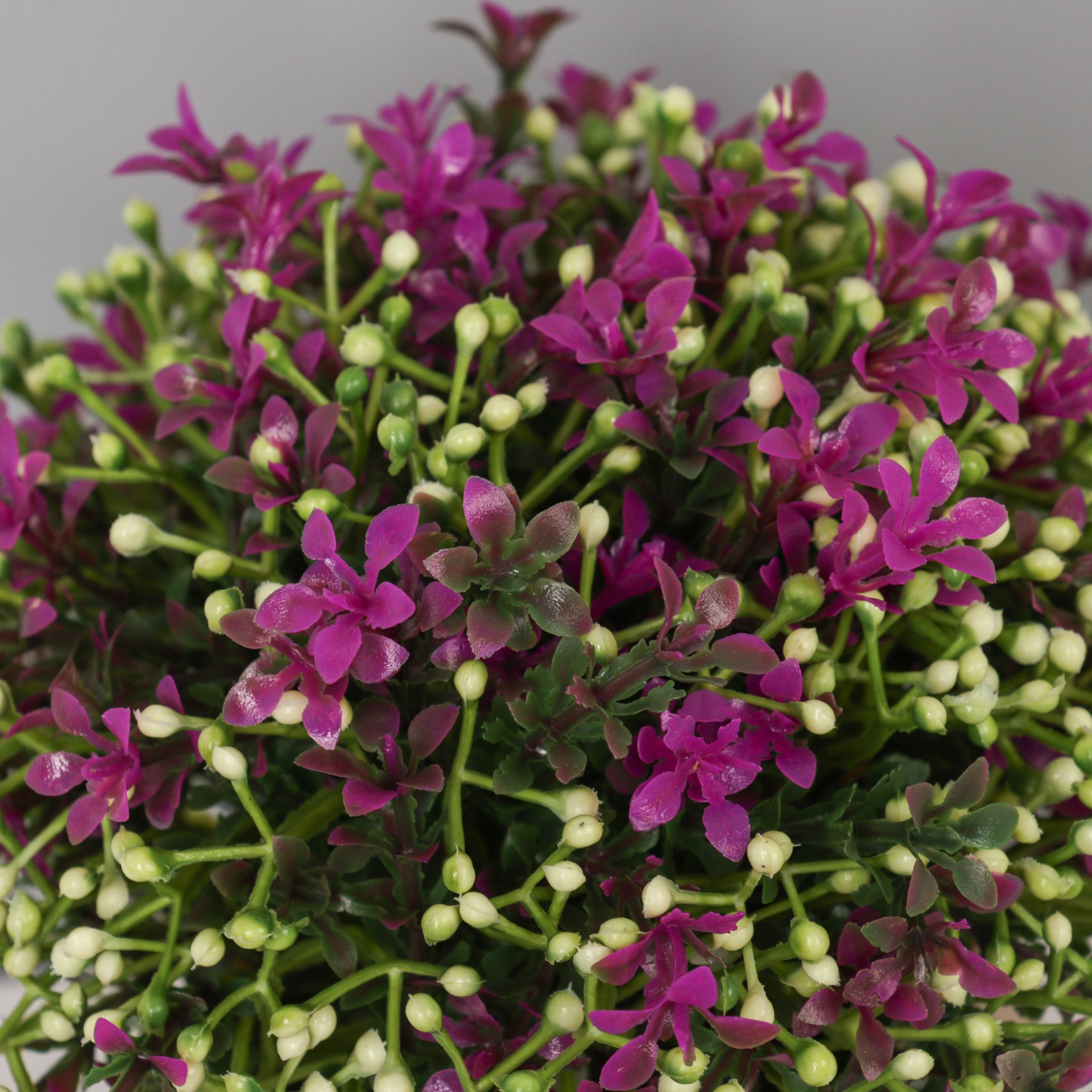 Бонсай в горшке "Бувардия галант" 17х10 см, микс  10697877