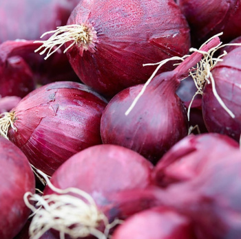 Лук-севок  Олина (10/21)  0,5кг +/-10%