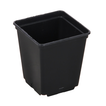 Набор горшков для рассады пластм. (0,25л *12шт) квадратный черный (Ангора)  *1/160 Набор горшков для рассады пластм. (0,25л *12шт) квадратный черный (Ангора)  *1/160