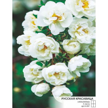 яяяФотообои  Симфония К-097 "Русская красавица" 1,4*2,0 м (4 л.) *1 (туба с клеем)