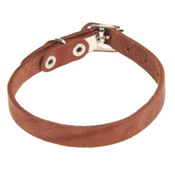 Ошейник кожаный однослойный, 30 х 1 см, коричневый 1173186