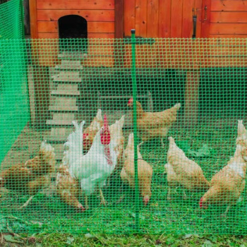 Сетка Садовая для птичников пласт. выс.1м рулон дл.10м яч.17х17мм Зеленая Ф-17/1/10 (Протэкт) *1/10