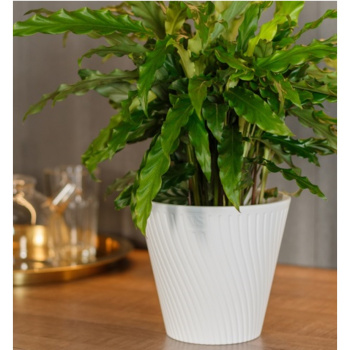 Кашпо пластм. "Луи" 2,7л d верха 180мм h166мм со вставкой Белый AML-2,7-01 ("VipSet") *1/12