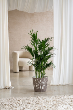 Кашпо пластм. "Winds" 20л d верха 340мм h310мм со вставкой 18,7л Французский платан IG652110105 *1/9