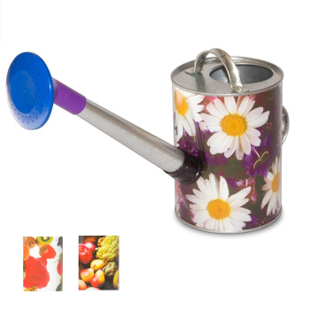 Лейка 5 л Урал ИНВЕСТ, с рассеивателем, оцинкованная, цвет микс Лейка 5 л Урал ИНВЕСТ, с рассеивателем, оцинкованная, цвет микс