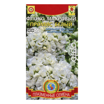 Флокс махровый Промис Белый 5шт ПлазмаС *10