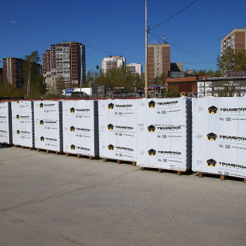 Газоблок 625х200х250 мм Твинблок, D400