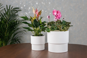 Кашпо пластм. "Бостон" 1,6л d верха 137мм h132мм со вставкой Белый АМБ-1,6-01 ("VipSet") *1/10