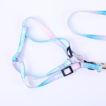 Комплект "Моя радость" капрон 1 см 1-слойный, шлейка 24-36 см, поводок 120 см     7557286