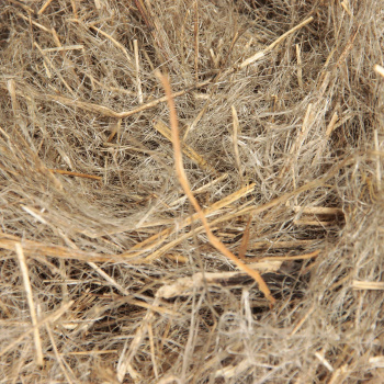 Пакля льняная 10 кг