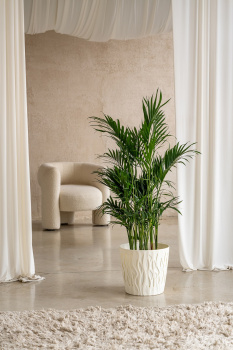 Кашпо пластм. "Winds" 20л d верха 340мм h310мм со вставкой 18,7л Белоснеж. жасмин IG652110048 *1/9