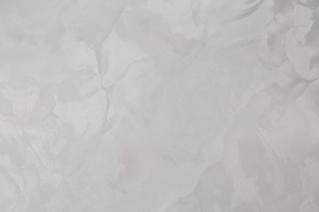 Обои флиз "Home Color" The Best фон HC72371-48  1,06*10м*1/8